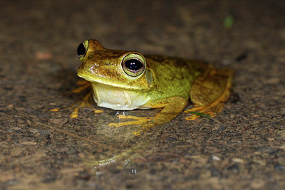 BUITEN BEELD Foto: 55726