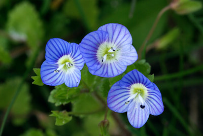 BUITEN BEELD Foto: 55753