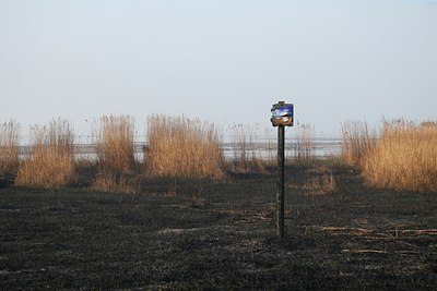 BUITEN BEELD Foto: 55774