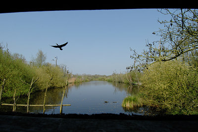 BUITEN BEELD Foto: 55869