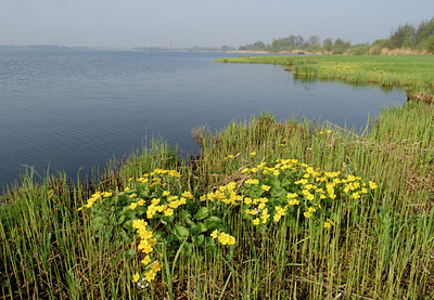 BUITEN BEELD Foto: 55892