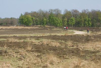 BUITEN BEELD Foto: 55933
