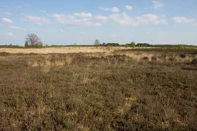 BUITEN BEELD Foto: 55937