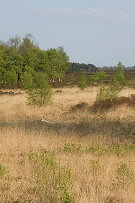 BUITEN BEELD Foto: 55939