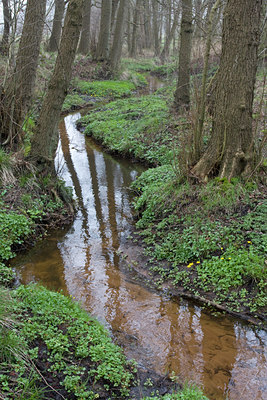 BUITEN BEELD Foto: 55944