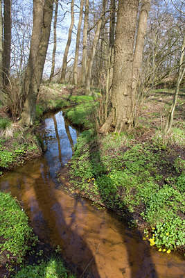 BUITEN BEELD Foto: 55946