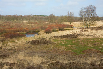 BUITEN BEELD Foto: 55952