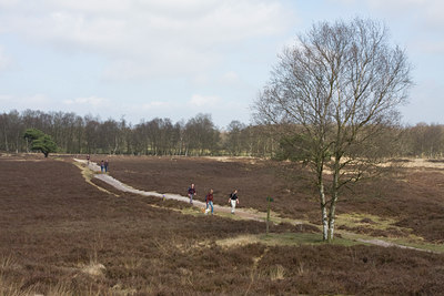 BUITEN BEELD Foto: 55954