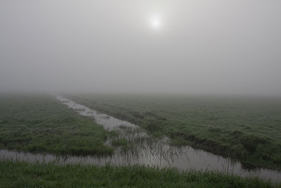 BUITEN BEELD Foto: 55966
