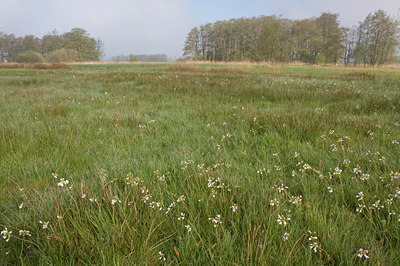BUITEN BEELD Foto: 55977