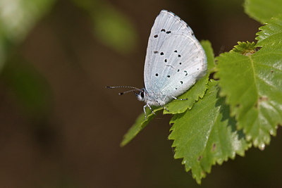 BUITEN BEELD Foto: 55990