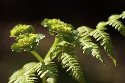 BUITEN BEELD Foto: 56046