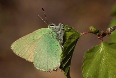 BUITEN BEELD Foto: 56057