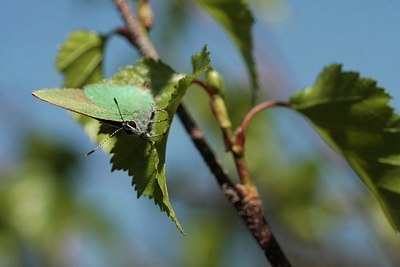 BUITEN BEELD Foto: 56059