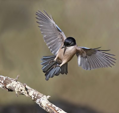BUITEN BEELD Foto: 56071