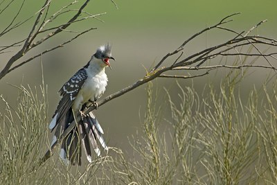 BUITEN BEELD Foto: 56082