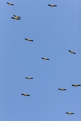 BUITEN BEELD Foto: 56086