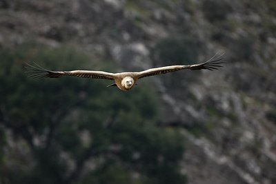 BUITEN BEELD Foto: 56094