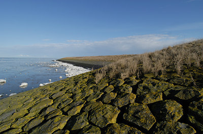BUITEN BEELD Foto: 56125