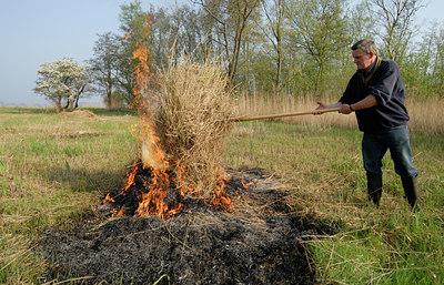 BUITEN BEELD Foto: 56126