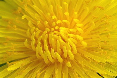 BUITEN BEELD Foto: 56178