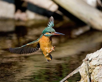 BUITEN BEELD Foto: 56229