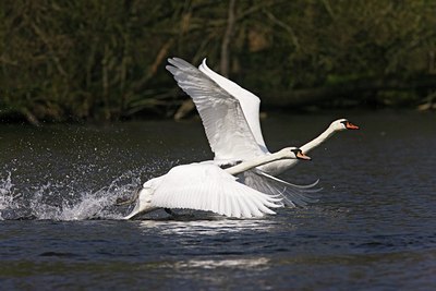 BUITEN BEELD Foto: 56233
