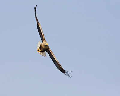 BUITEN BEELD Foto: 56237