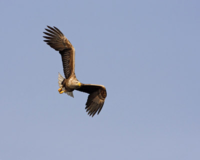 BUITEN BEELD Foto: 56238