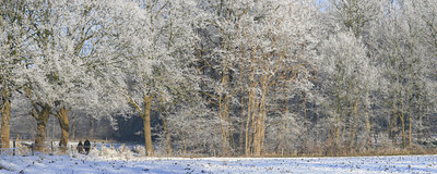 BUITEN BEELD Foto: 56242
