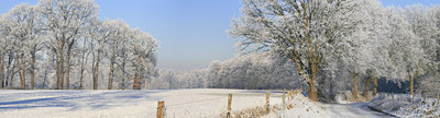 BUITEN BEELD Foto: 56248