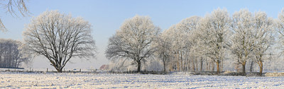 BUITEN BEELD Foto: 56249