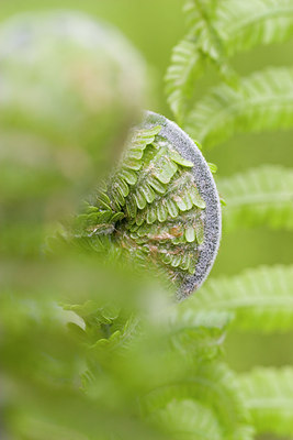 BUITEN BEELD Foto: 56251