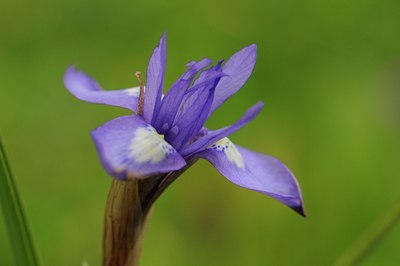 BUITEN BEELD Foto: 56256