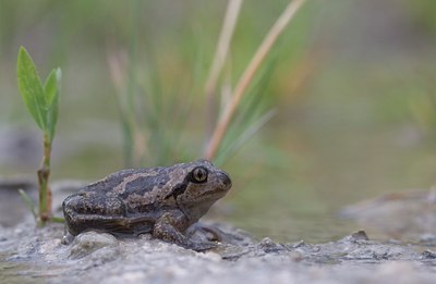 BUITEN BEELD Foto: 56333