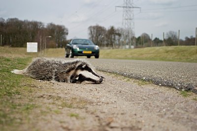 BUITEN BEELD Foto: 56340