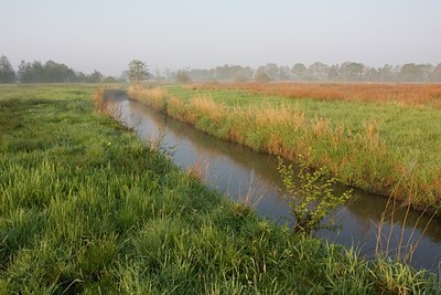 BUITEN BEELD Foto: 56354