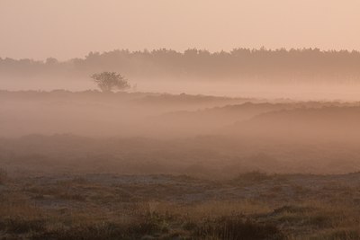 BUITEN BEELD Foto: 56360