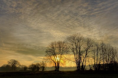 BUITEN BEELD Foto: 56365