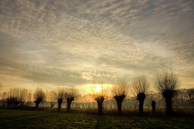 BUITEN BEELD Foto: 56369