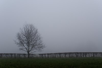 BUITEN BEELD Foto: 56372