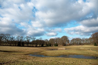 BUITEN BEELD Foto: 56374
