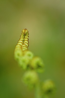 BUITEN BEELD Foto: 56471