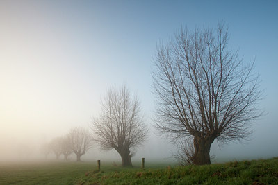 BUITEN BEELD Foto: 56505