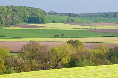 BUITEN BEELD Foto: 56528