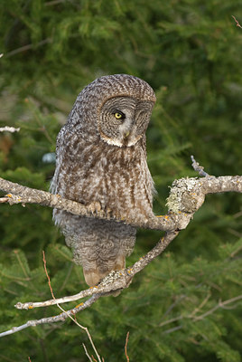 BUITEN BEELD Foto: 56550