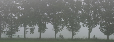 BUITEN BEELD Foto: 56610