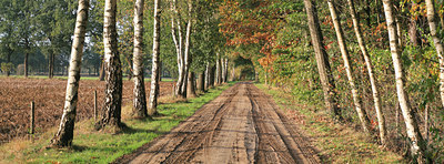 BUITEN BEELD Foto: 56614