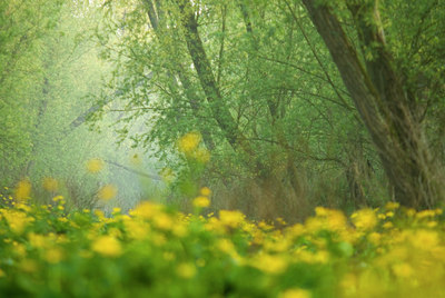 BUITEN BEELD Foto: 56625