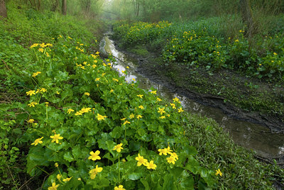 BUITEN BEELD Foto: 56629